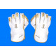 HB Wicket Keeping Gloves - Limted Edition - White